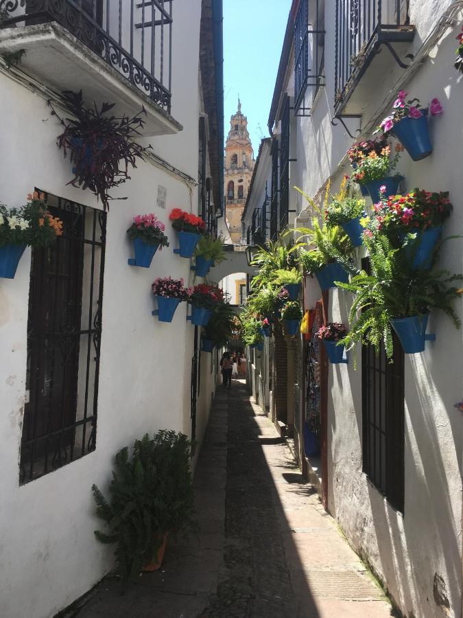 Apartamento Conde De Vallellano