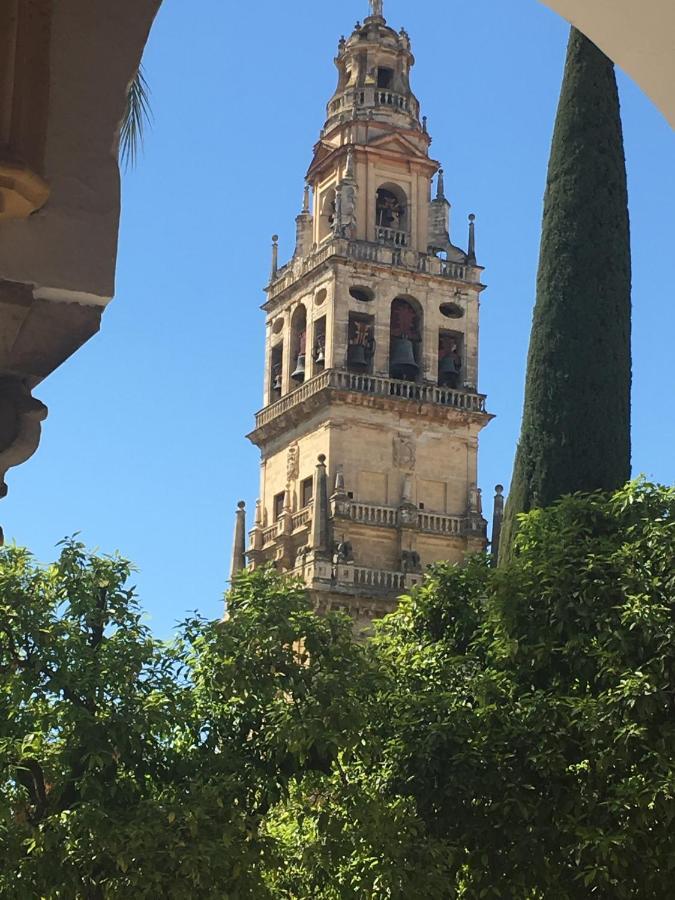 Conde De Vallellano Apartamento Córdoba