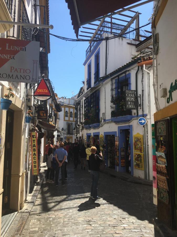 Apartamento Conde De Vallellano *