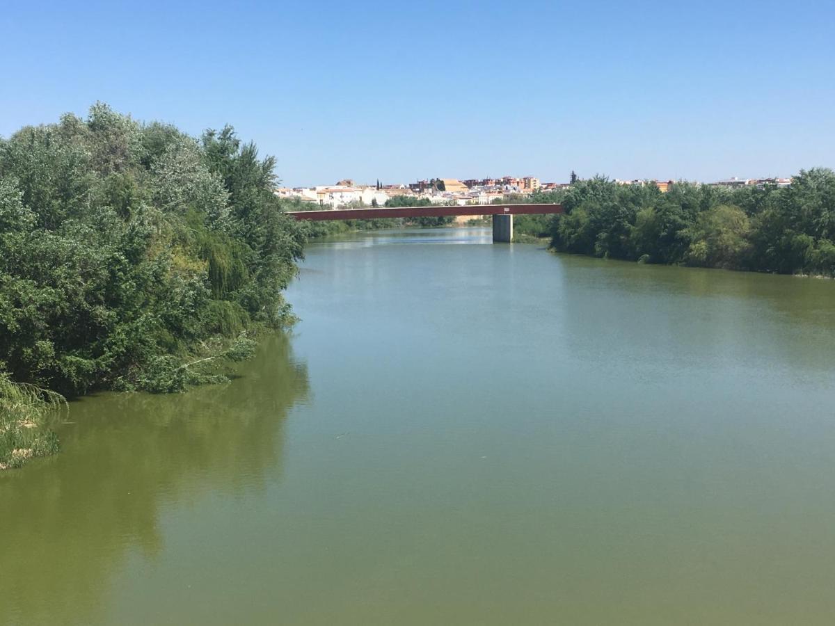 Apartamento Conde De Vallellano *