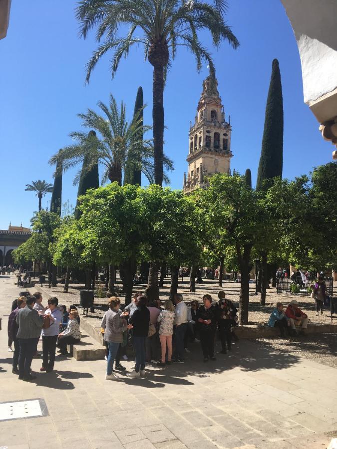 Apartamento Conde De Vallellano Córdoba