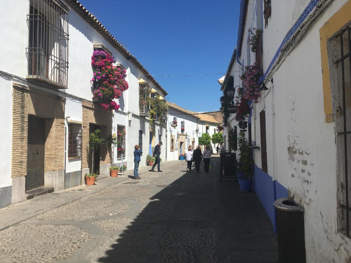 Apartamento Conde De Vallellano